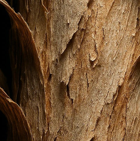 FINE ATTAR - Whitewood 6ml