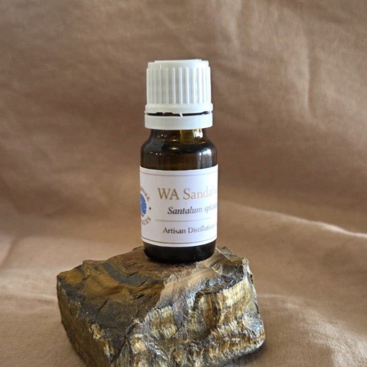 W.A. Sandalwood — 10 ml