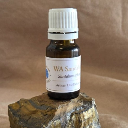 W.A. Sandalwood — 10 ml Daily Well‑Being Edition