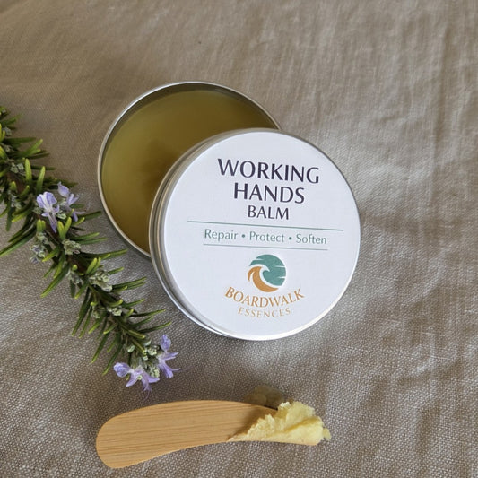 Working Hands Balm 50g aluminium tin with cream label and gold border arranged with gentle botanical elements and a wooden spatula